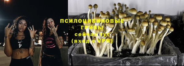 молекула духа Аркадак
