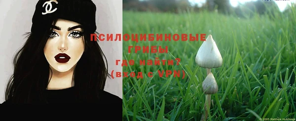 соль ск Алексин