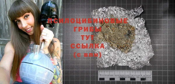 спиды Алексеевка