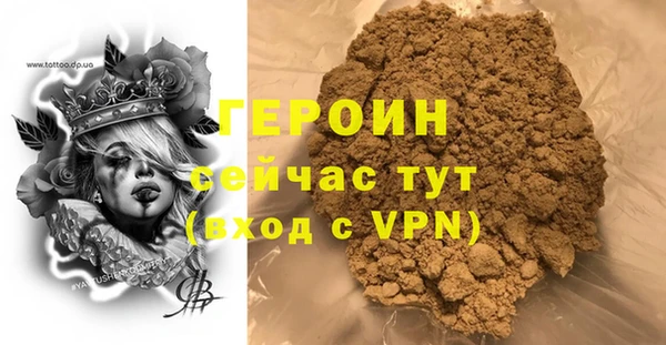 шишки Няндома