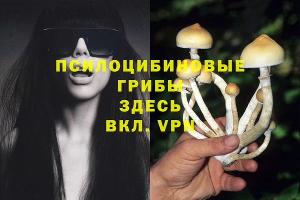 спиды Алексеевка