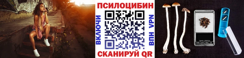 Галлюциногенные грибы мицелий  где купить наркоту  Хадыженск 